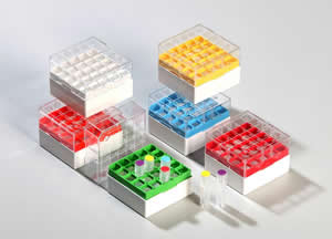 EPPiŽ Kryo Box 25 / 5x5 cells, Height 52 mm fix EPPiŽ Kryo Box 25 / 5x5 cells, Height 52 mm fix