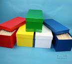 CellBox Box Maxi lang, H�he 128 mm, mit eingelegtem 6x12 Rastereinsatz (H�he 90 mm)