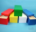 CellBox Box Maxi lang, H�he 128 mm, mit eingelegtem 4x8 Rastereinsatz (H�he 90 mm)