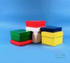 BRAVO Box 50, H�he 50 mm, mit eingelegtem 9x9 Rastereinsatz (H�he 30 mm)